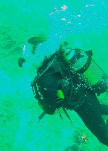 Steef diving at the Anchor reef in Ponta do Ouro.