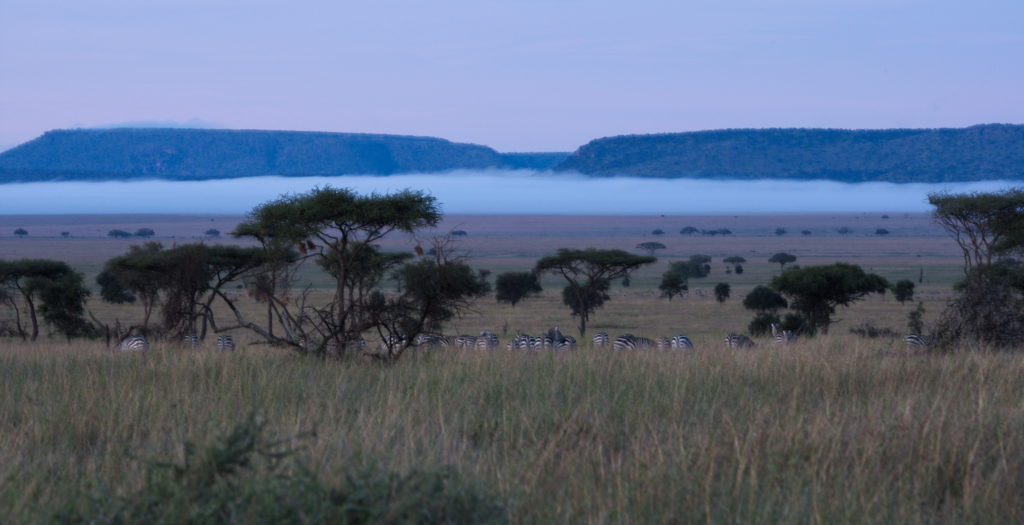 20160417_Tanzania_Serengeti_morningMist