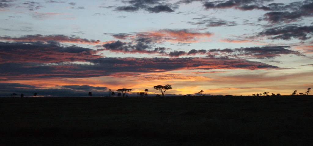 Movie-like sunup over Serengeti plains.